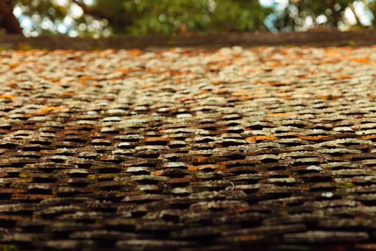 Aging shingle roof with moss growth and granule loss in Victorville, CA